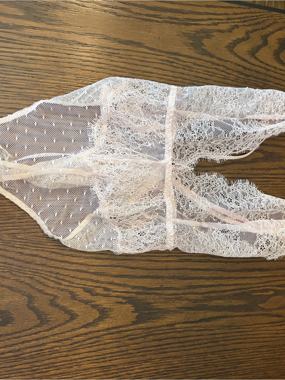 Sheer Lace lingerie in Light Blush